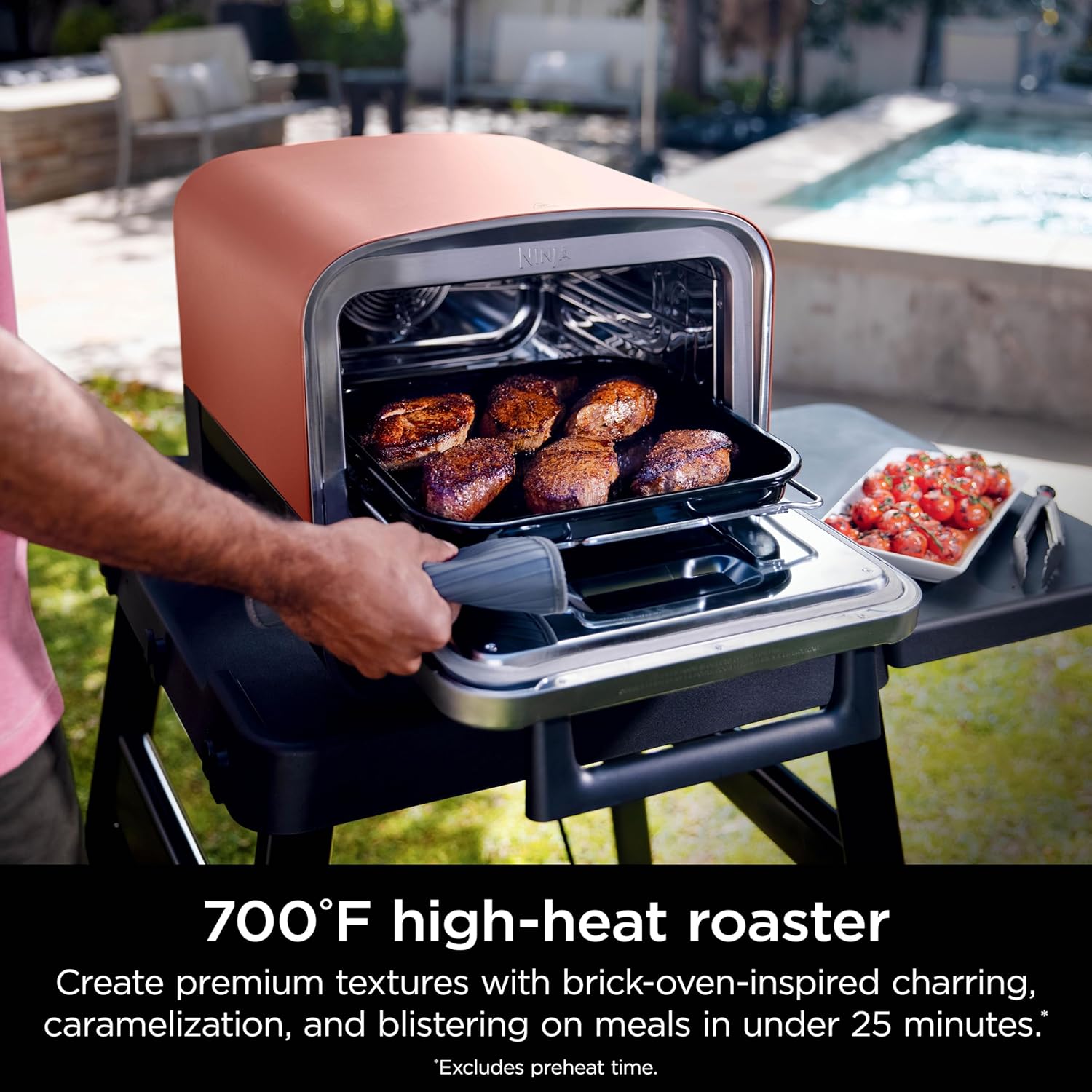 8-In-1 Portable Electric Roaster Oven