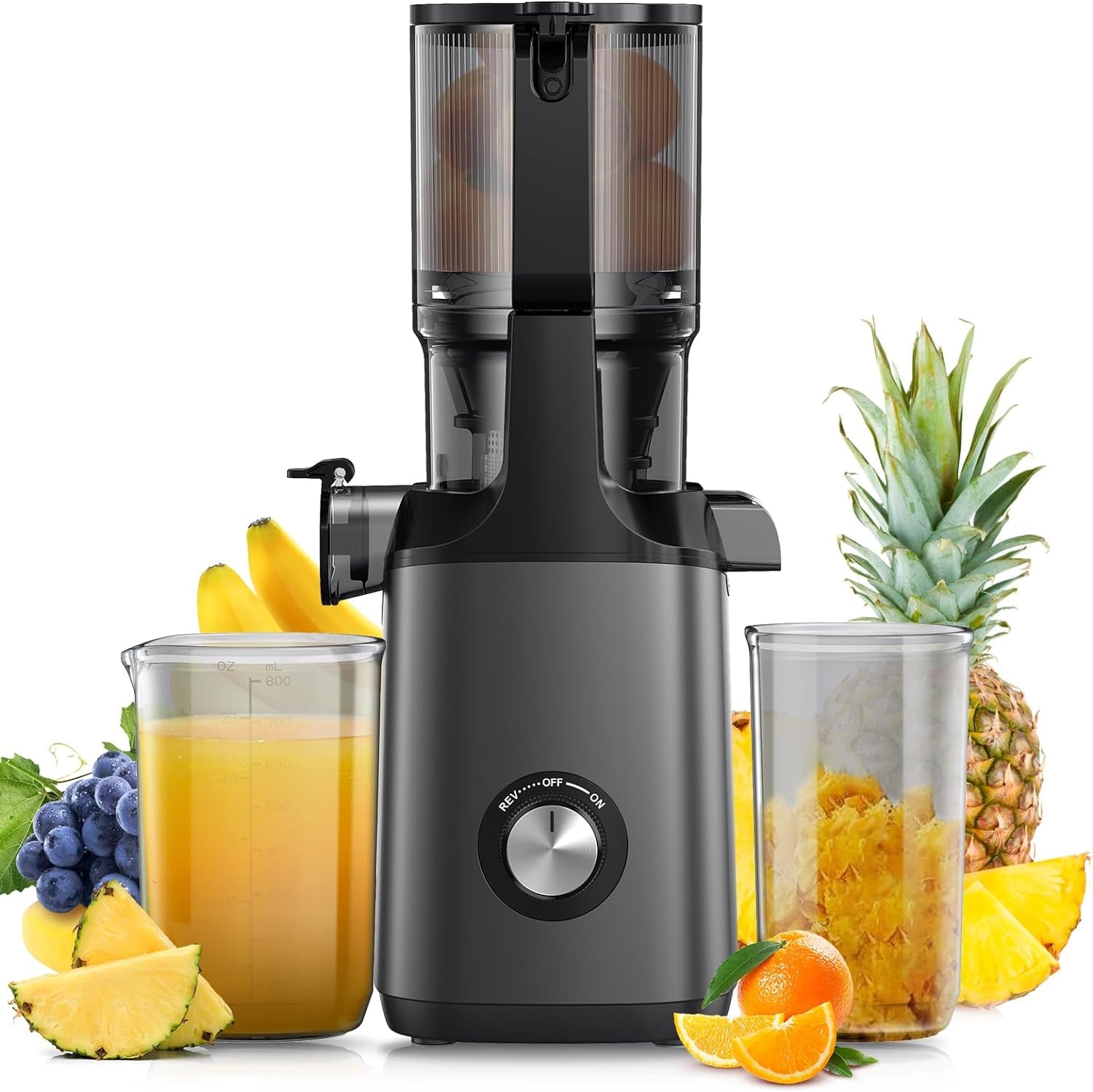 Cold Press Juicer with 5.3" Extra Large Feed Chute 